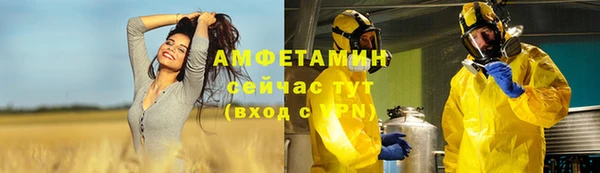 молекула духа Арсеньев