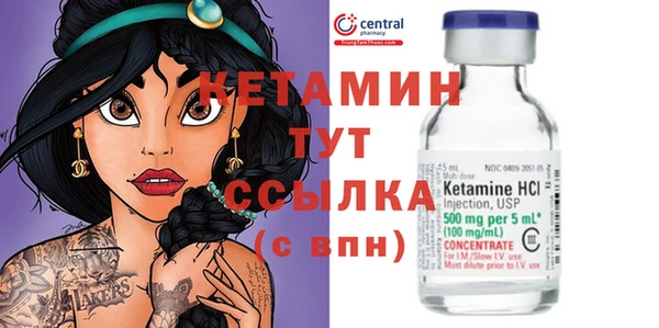 молекула духа Арсеньев