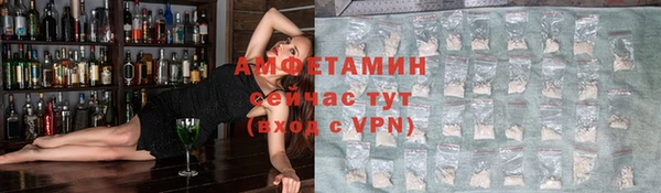молекула духа Арсеньев