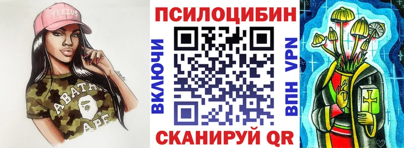 ОМГ ОМГ tor  Пучеж  Псилоцибиновые грибы Psilocybe 